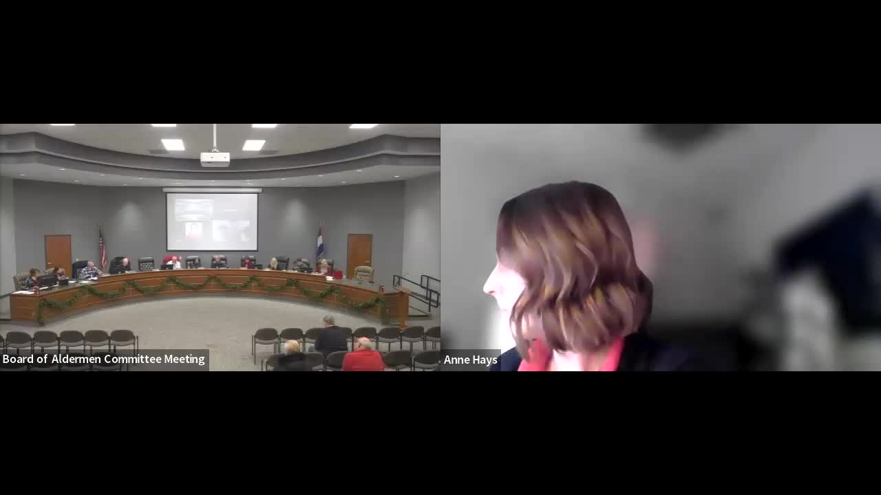 City Council Discusses October Revenues and 2025 Budget Considerations