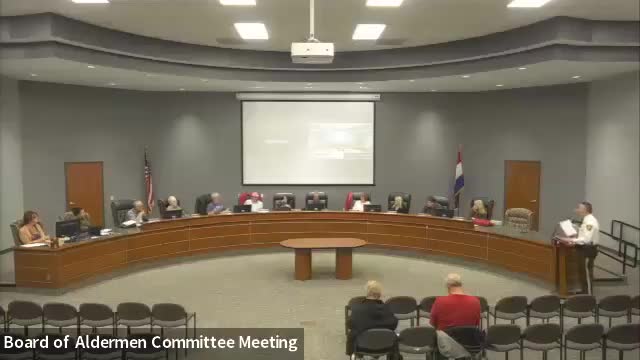 Fenton Council Explores Cost-Saving Options for Police Staffing and Coverage