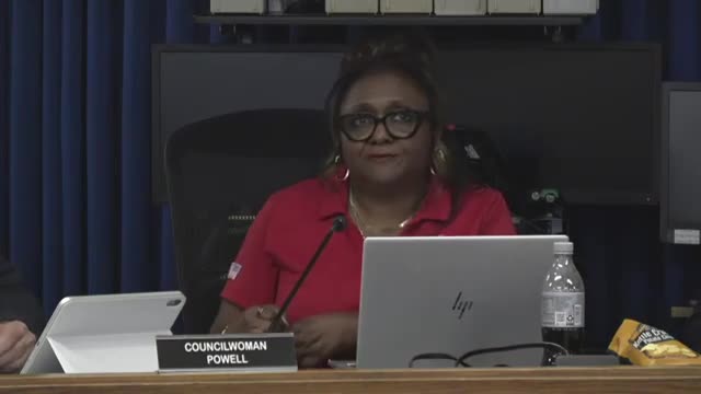 Elgin City Council Discusses Downtown Development and DNA Board Membership Concerns