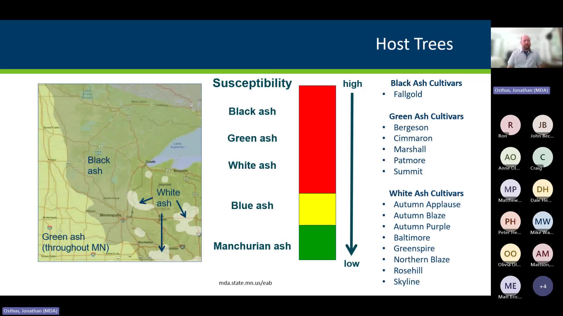 Expert Discusses Emerald Ash Borer Identification Techniques for Minnesota Residents