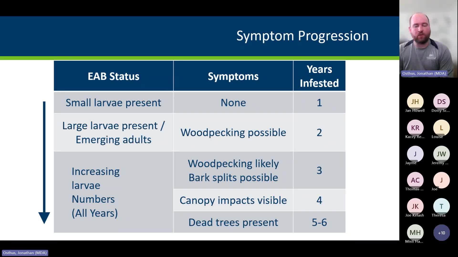 Emerald Ash Borer Threatens Minnesota Trees Prompting Urgent Management Plans