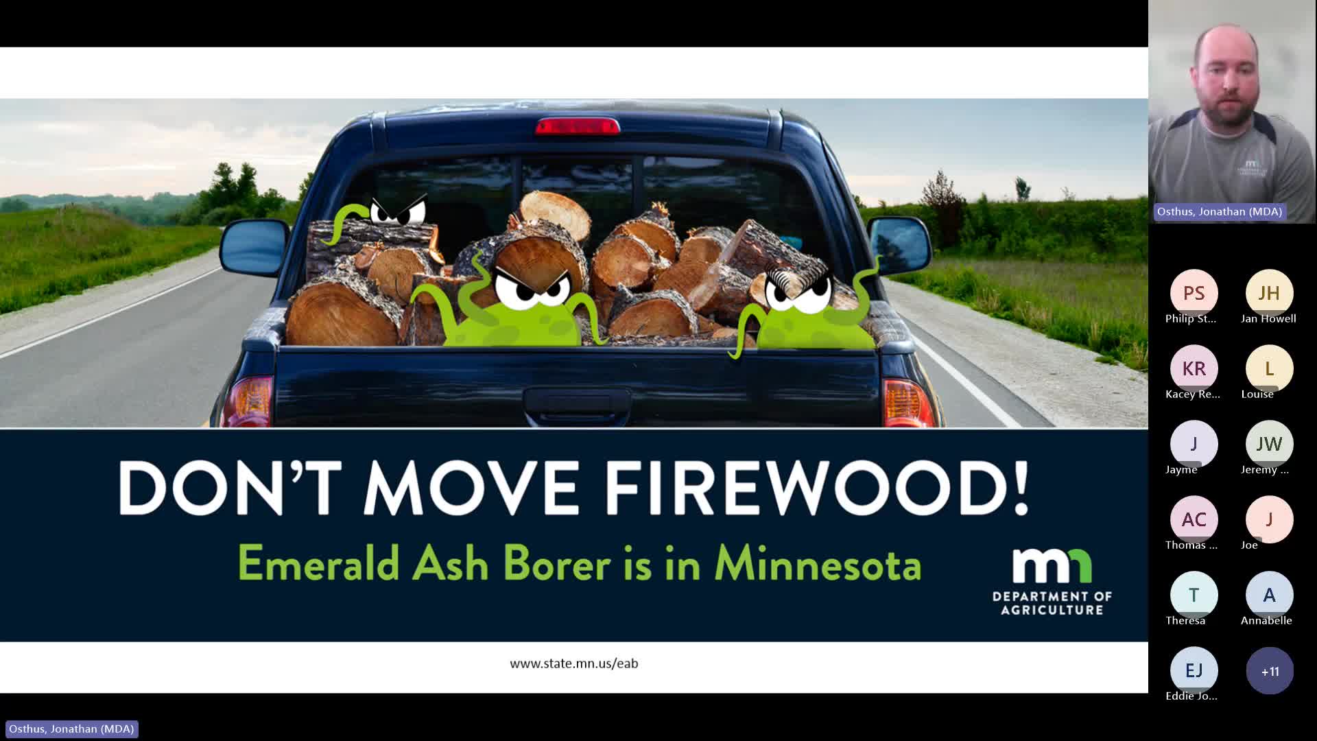 Minnesota Officials Discuss Strategies for Managing Emerald Ash Borer Infestation