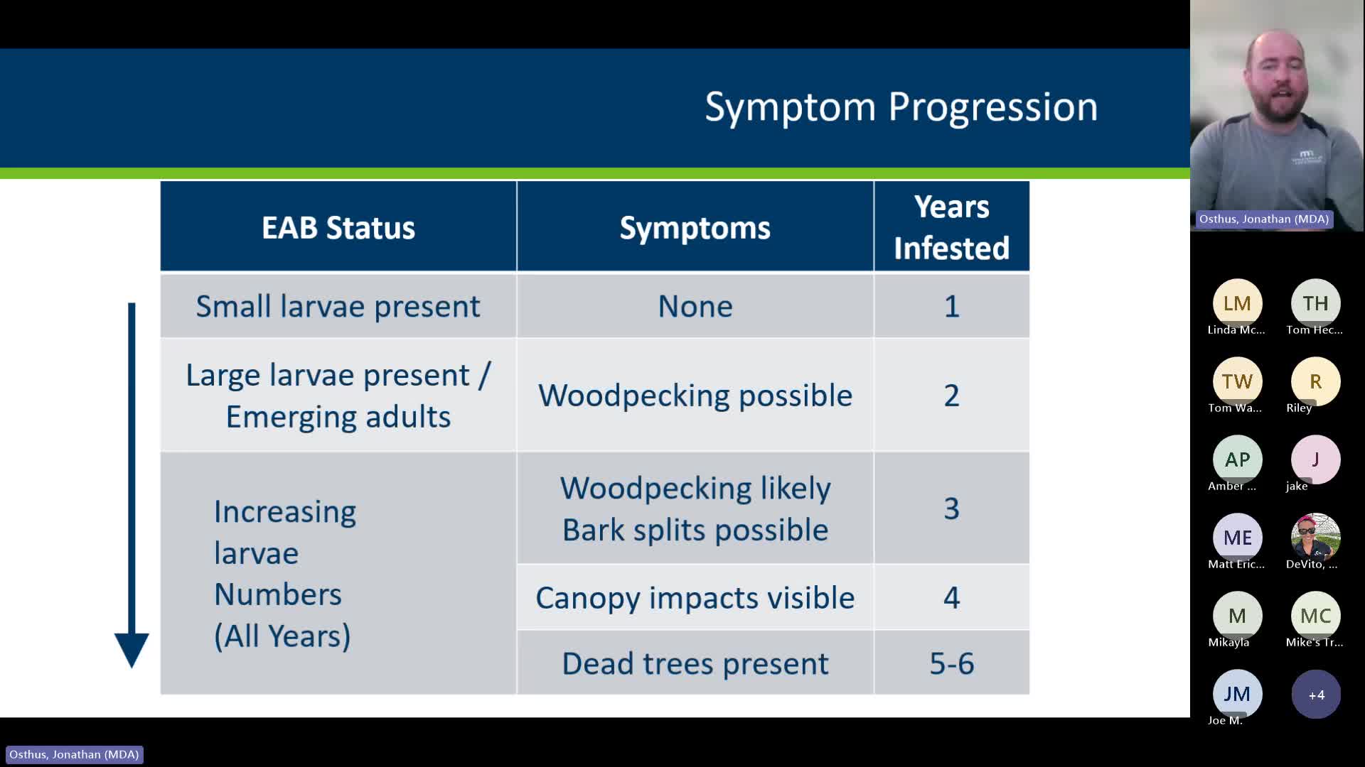 Emerald Ash Borer Expands in Minnesota with New Finds in Brainerd and Surrounding Areas