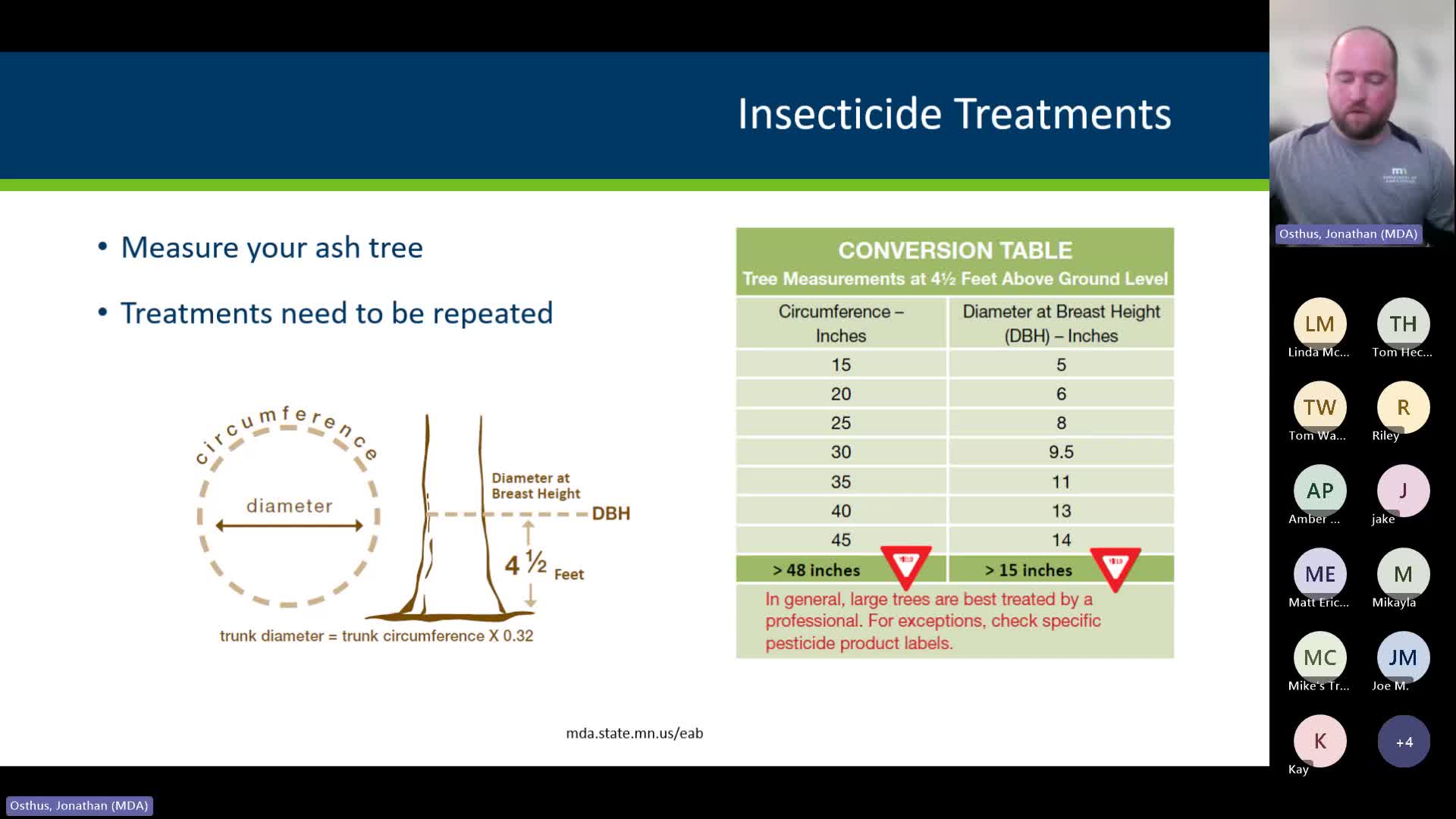 Emerald Ash Borer Workshops Scheduled in Brainerd and Dilworth Minnesota