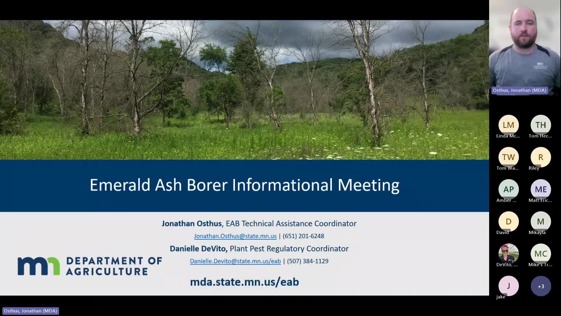 Minnesota Agriculture Department discusses emerald ash borer challenges and solutions