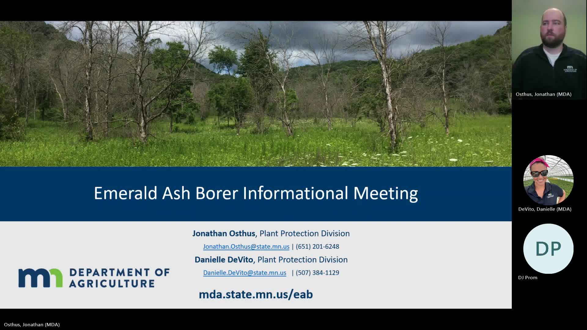 Minnesota Officials Address Emerald Ash Borer Infestation Detection and Management Strategies