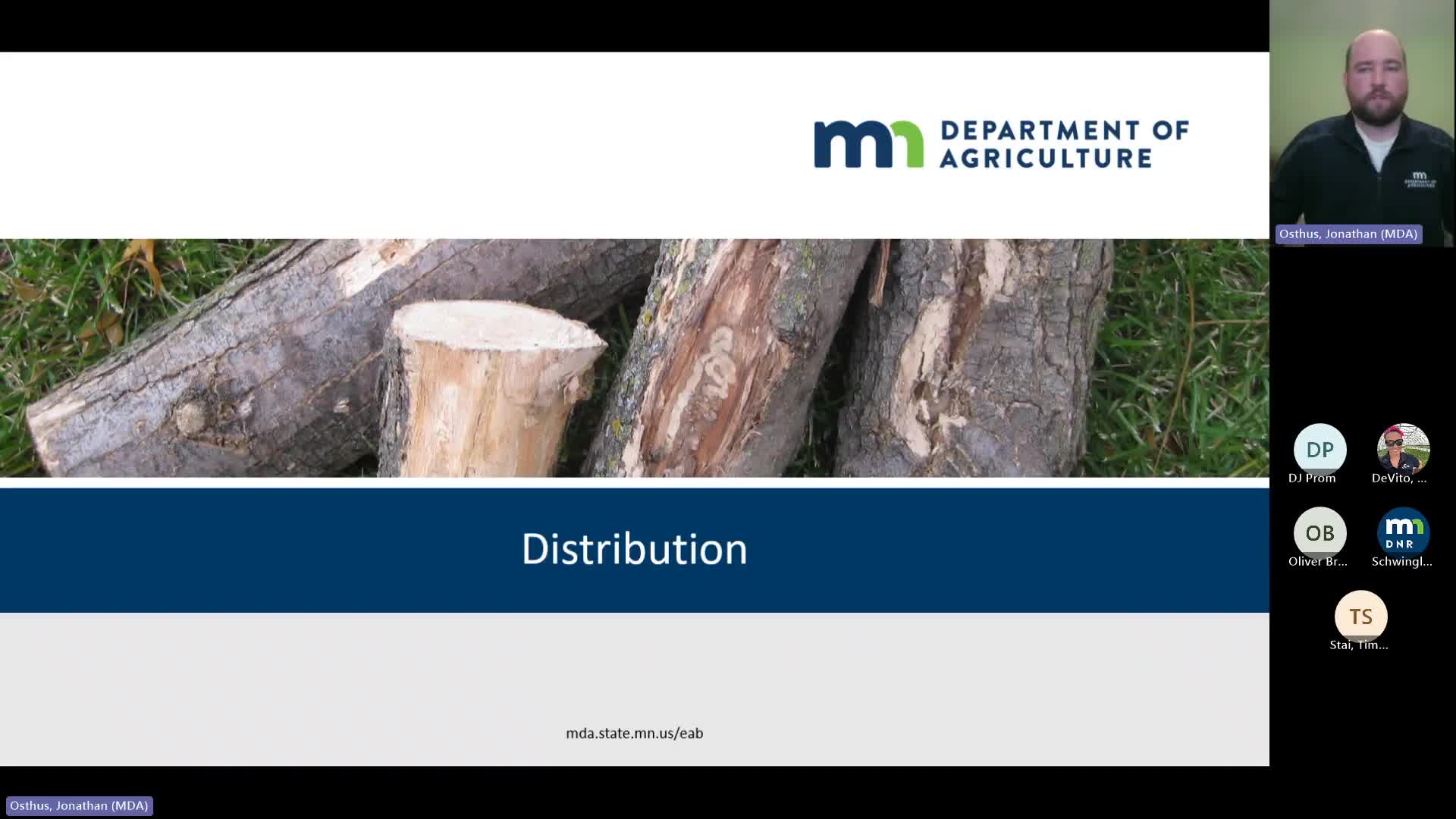 Minnesota expands emerald ash borer quarantine to include Morrison County