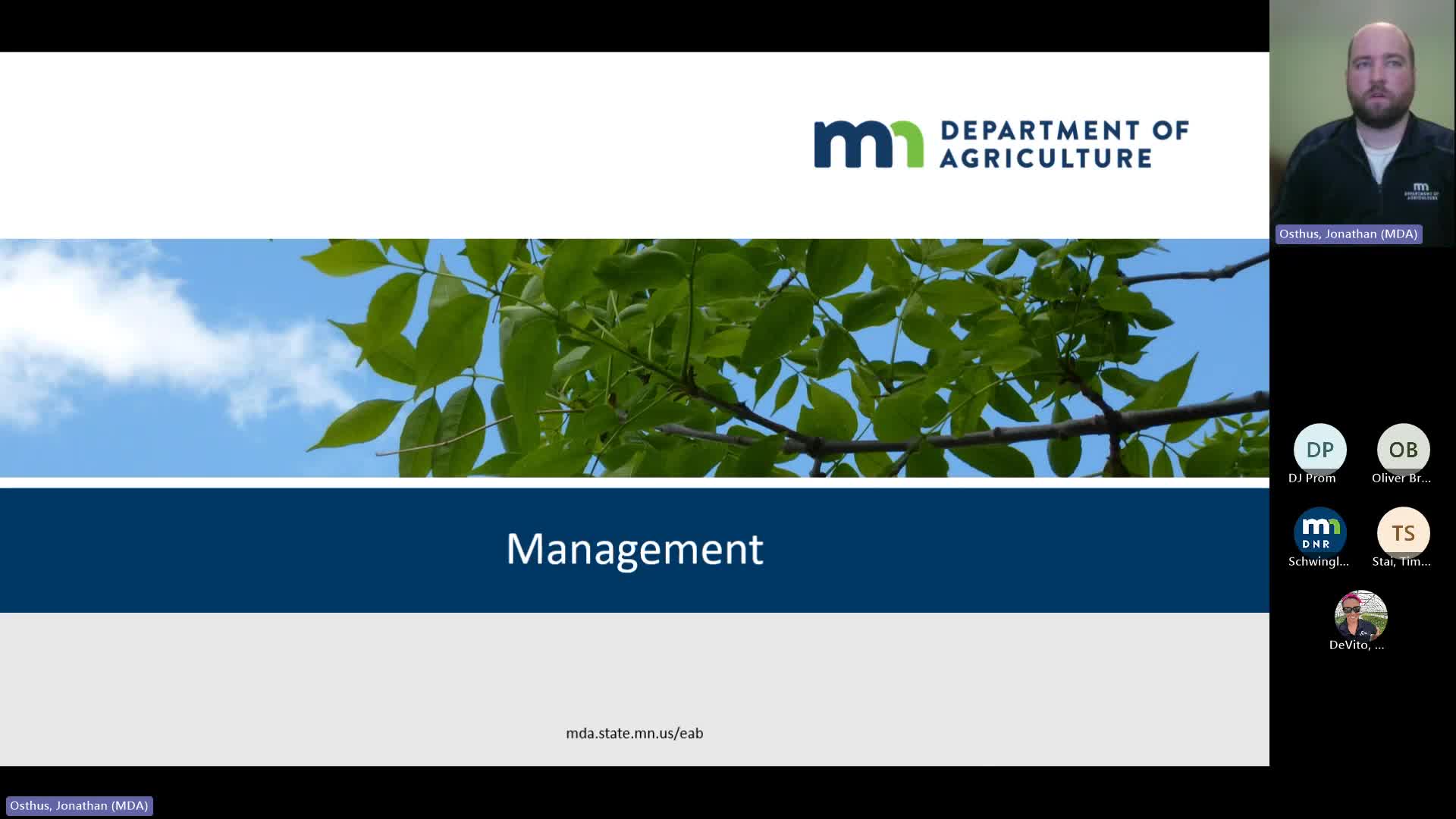 Emerald Ash Borer Management Strategies Outlined for Communities