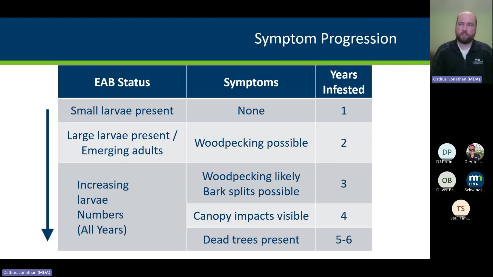 Emerald Ash Borer Infestation Takes Five to Six Years to Kill Trees