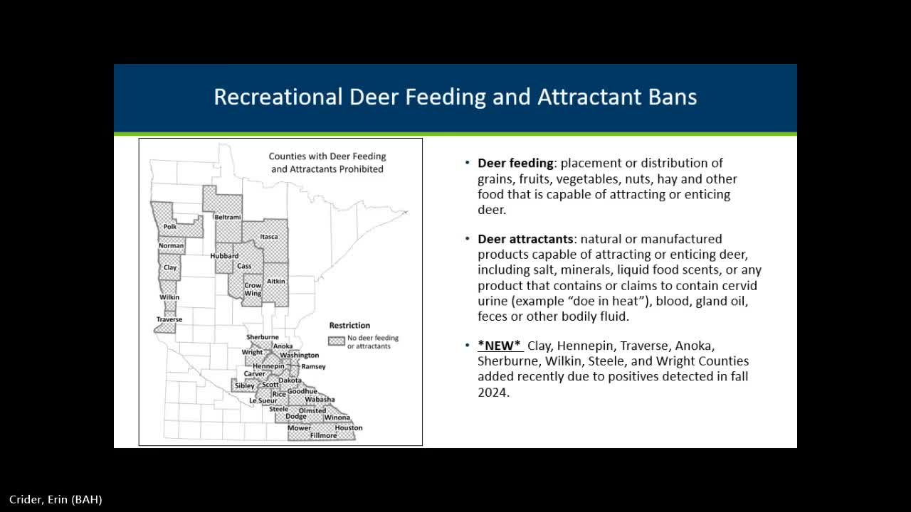 Minnesota DNR conducts health pilot on wild turkey populations amid rising disease concerns