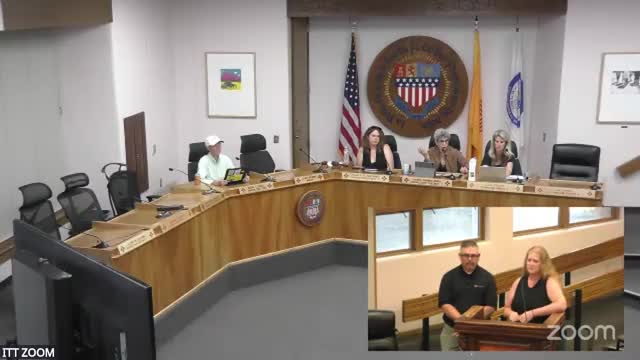 City Council Approves Consultant's Work Amid Retirement Concerns