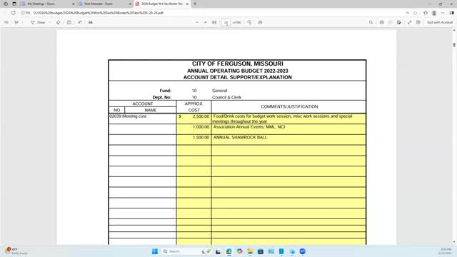 Council questions Microsoft licensing and streaming provider costs; staff to review alternatives