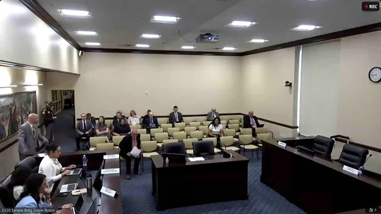Senate Committee Discusses County Employment Legislation Options for Elected Officials