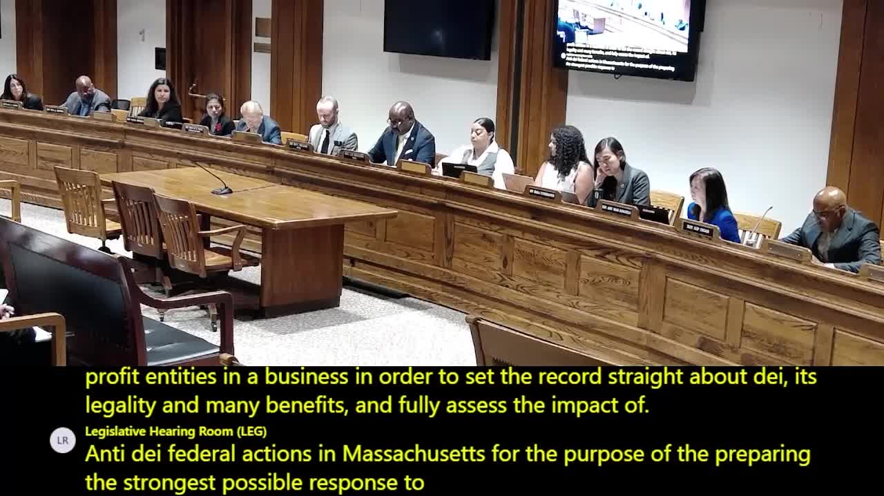Senator Miranda leads Massachusetts hearing on diversity equity and inclusion challenges