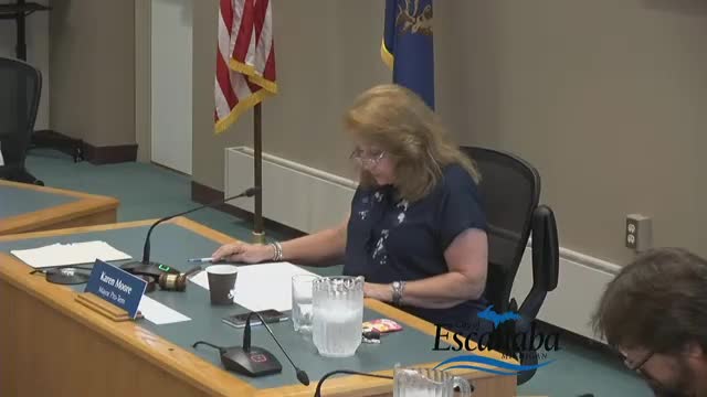 Council adopts ordinance clarifying sidewalk snow-removal responsibilities and business district exceptions