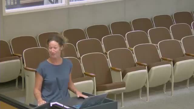 DDA approves $2,000 placemaking grant for student‑led haunted house at Space of Mind