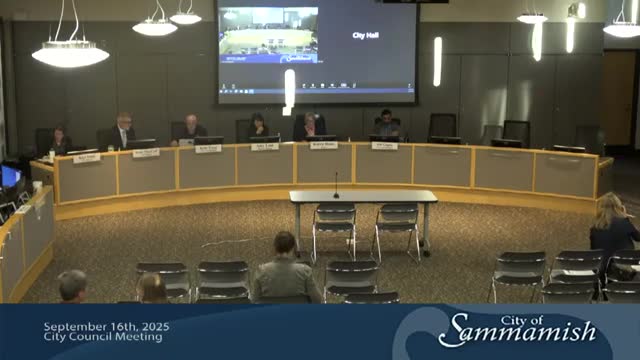 Sammamish City Council Explores Community Space Use for Arts and Gathering