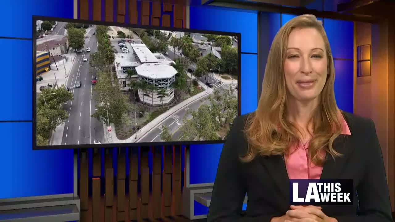 Venice Branch Library Celebrates 30 Years Honoring Community Leaders and Diversity