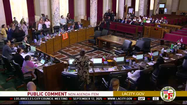 Volunteers ask council for weekly loading/parking permit to serve Skid Row; clerk says CD14 will follow up