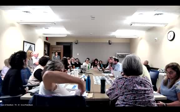 Needham DPW highlights stormwater, phosphorus targets as design constraint for downtown project