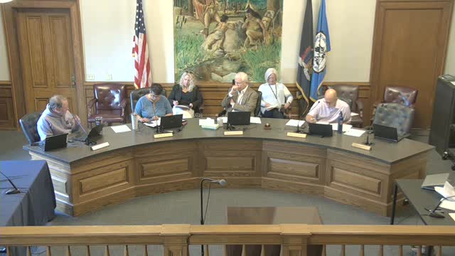 City Council Reacts to IT Issues and Approves Key Appointments and Contracts