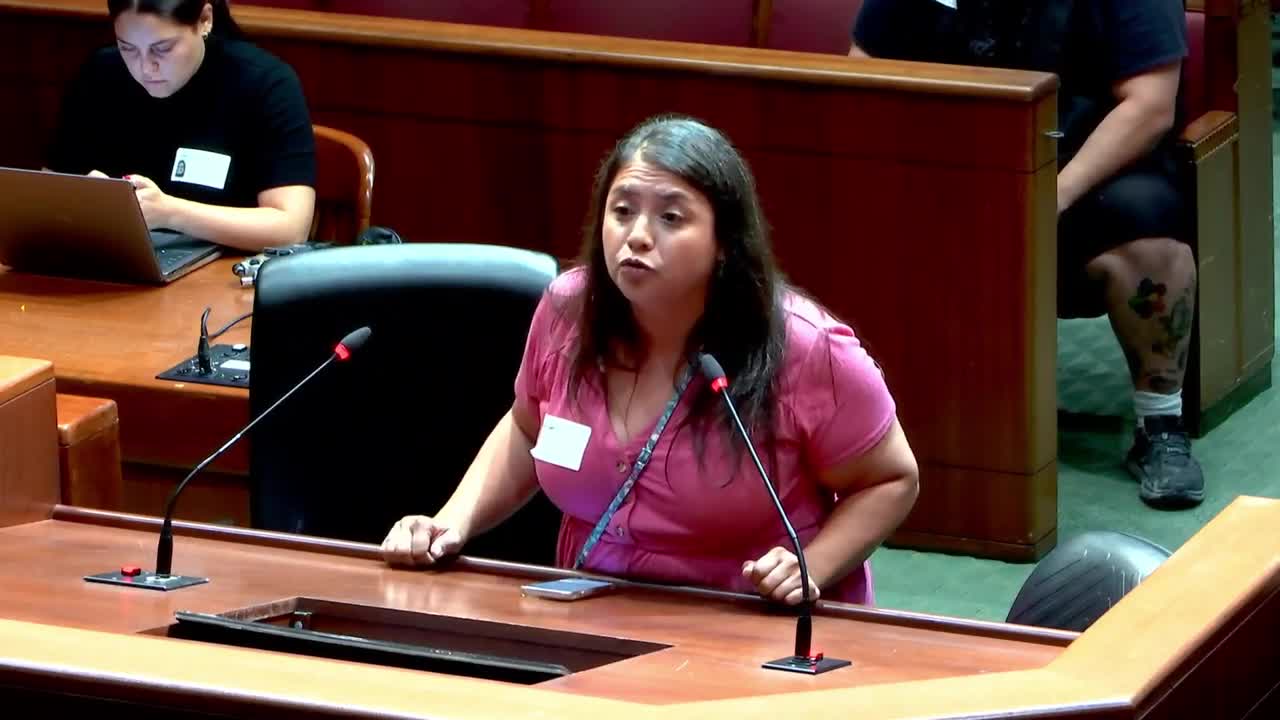 Community Speakers Voice Concerns Over Houston Education and Convention District Planning