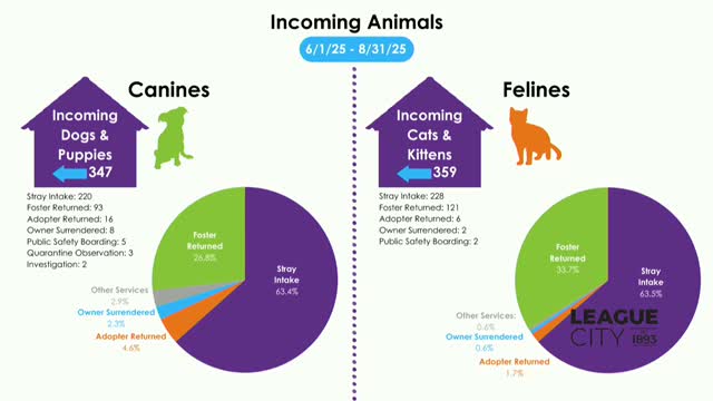 Local Animal Shelter Reports High Adoption Rates and Successful Foster Programs