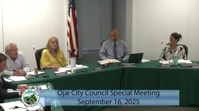 Council Members Support Economic Development Coordinator Proposal and Contract Extension