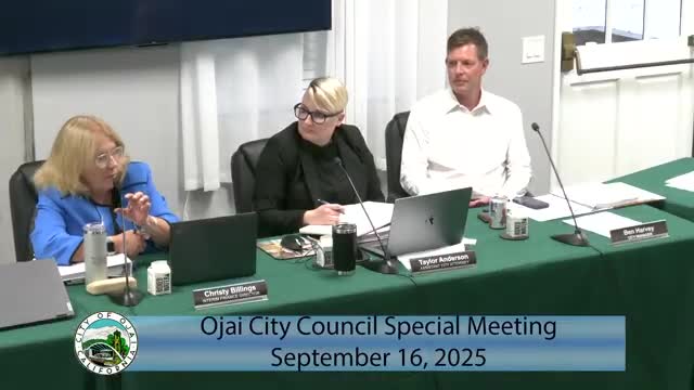 Council Member Whitman Discusses City's Tax Consultant and Audit Process