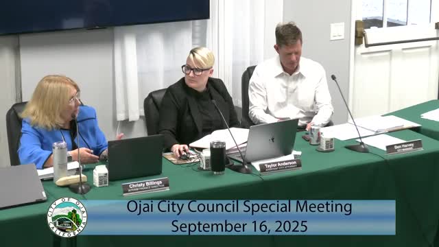 City Council Deliberates Continuation of Hearing Amid Late Document Submission Controversy