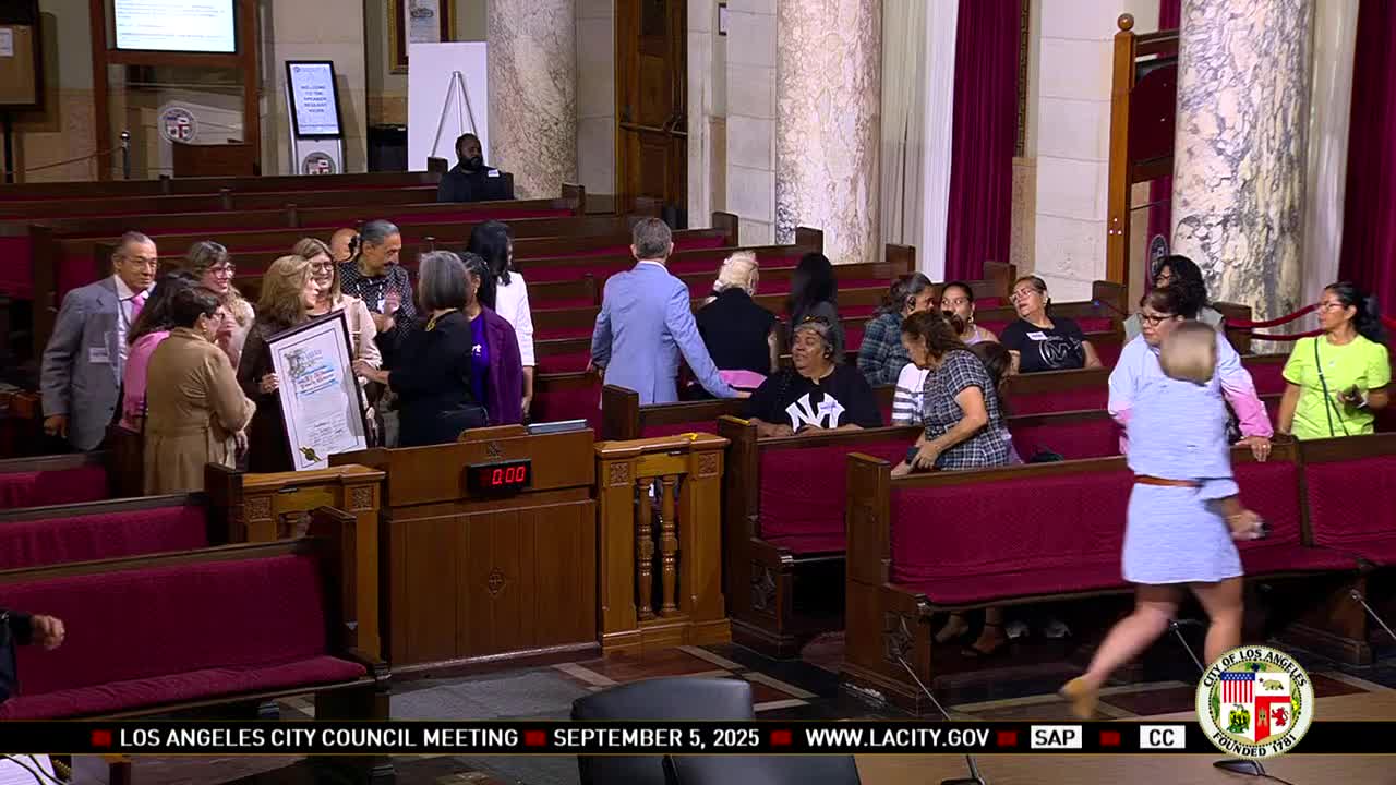 Los Ángeles City Council Hosts Public Comment Session Amid Ongoing Protests