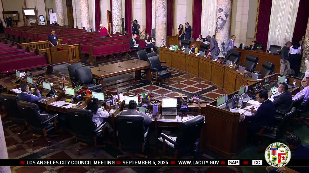 Public commenters criticize ICE raids and LAPD overtime at City Council meeting