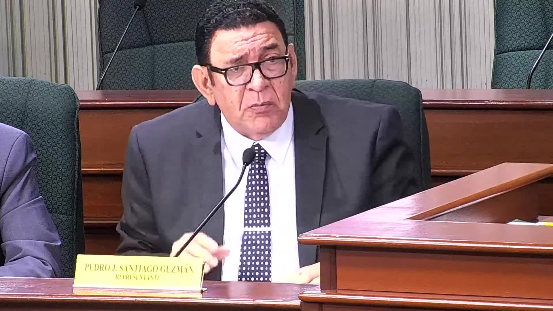 Puerto Rico panel discusses funding for horse breeding and welfare programs