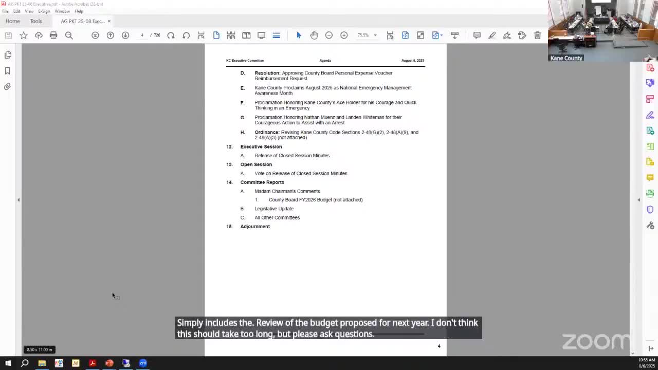Kane County board executive committee debates 2026 county board office budget, strategic plan and funding sources