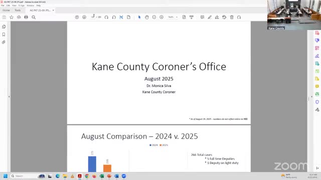 Kane County coroner reports rise in suicides, overdoses and delays purchase after procurement questions