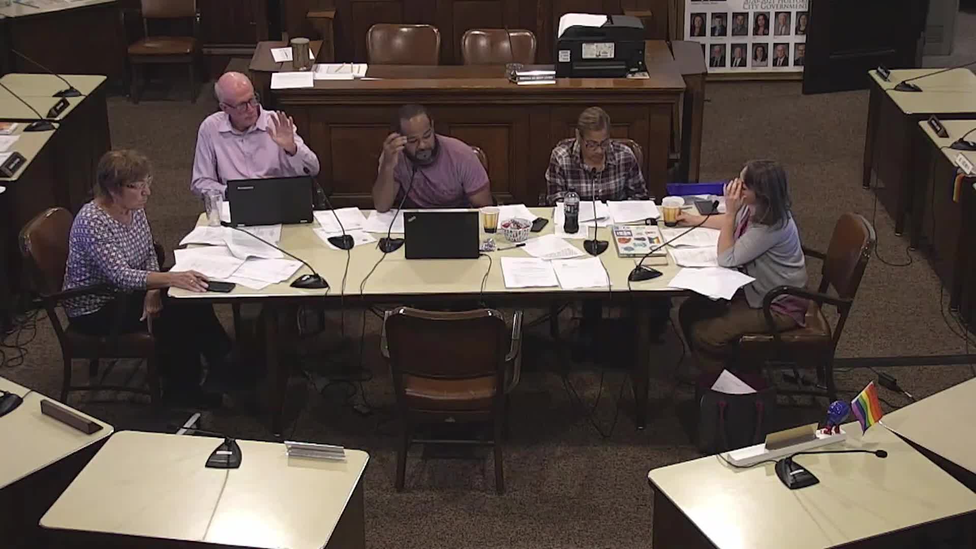 Council committee asks HR, legal to draft treasurer qualifications and pay scale after voter-approved change