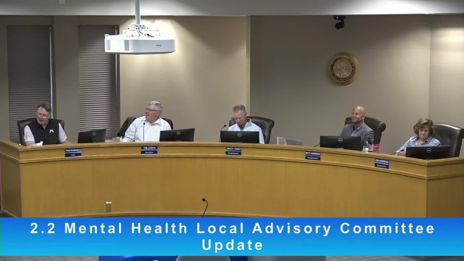 Carver County mental‑health advisory committee recommends countywide mental‑health first‑aid training and workforce pipeline