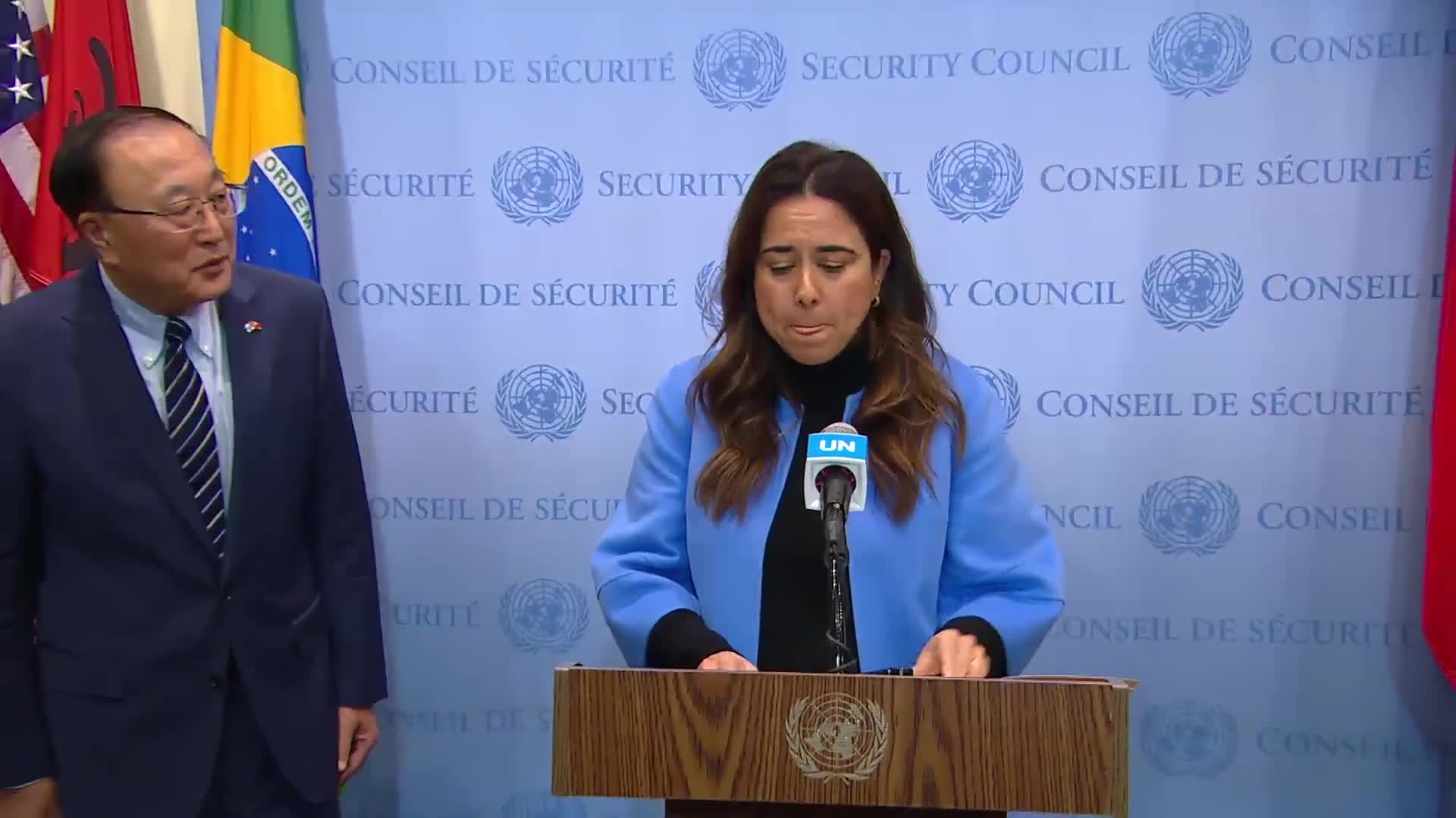 Council Members Discuss Draft Resolution and Address Humanitarian Gaps