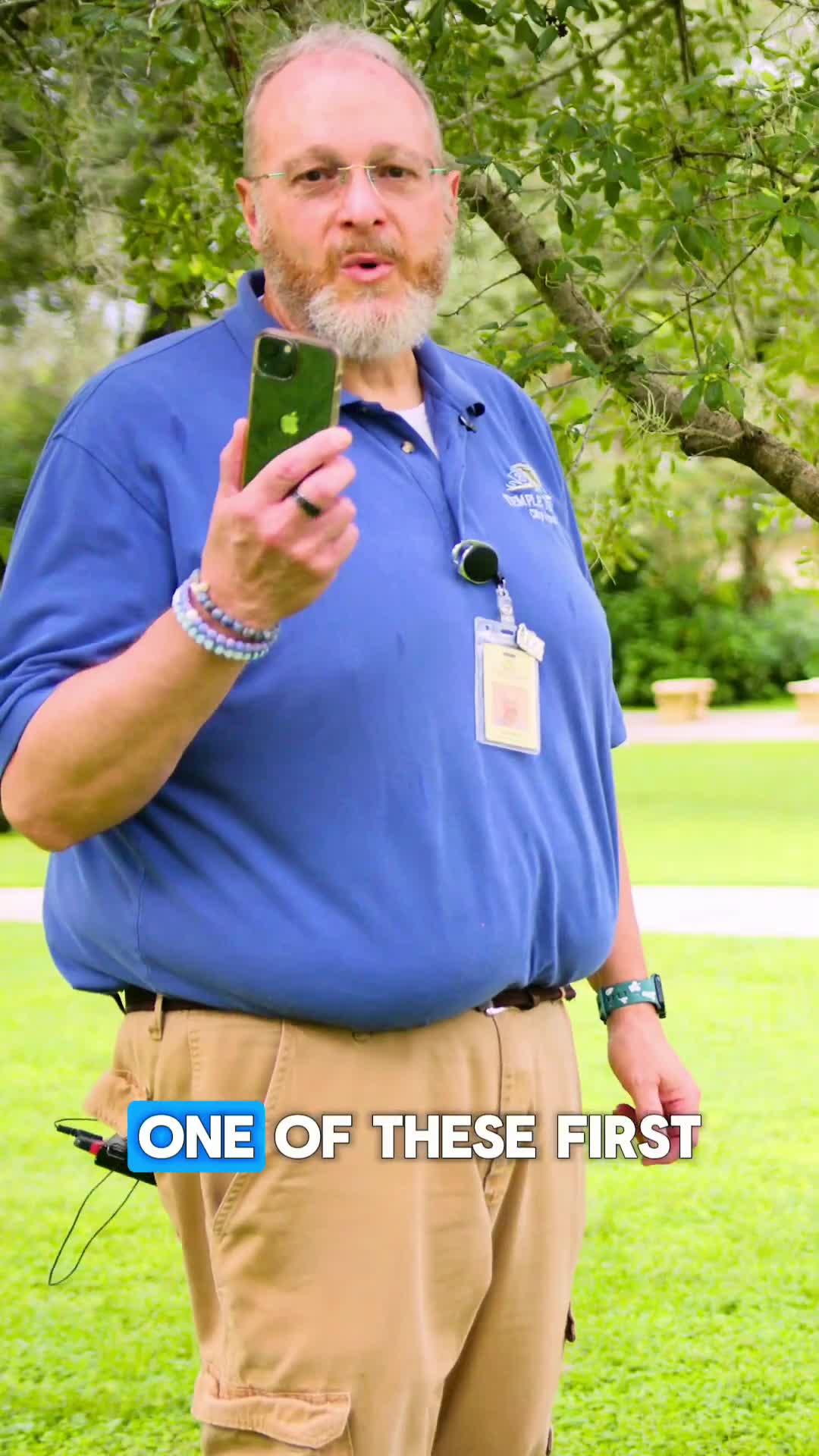 Temple Terrace arborist urges residents to 'request, review, remove' before cutting protected trees