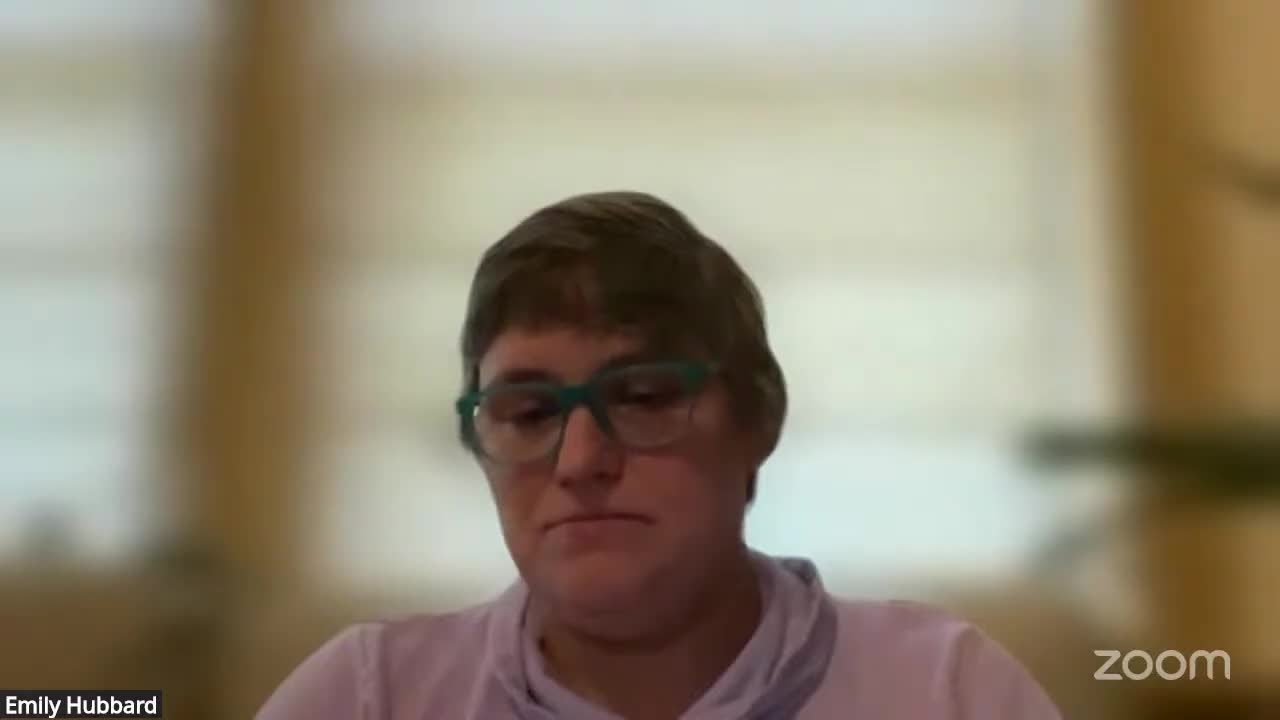 Committee discusses expanding annual financial disclosures; seeks draft ordinance and template for March review