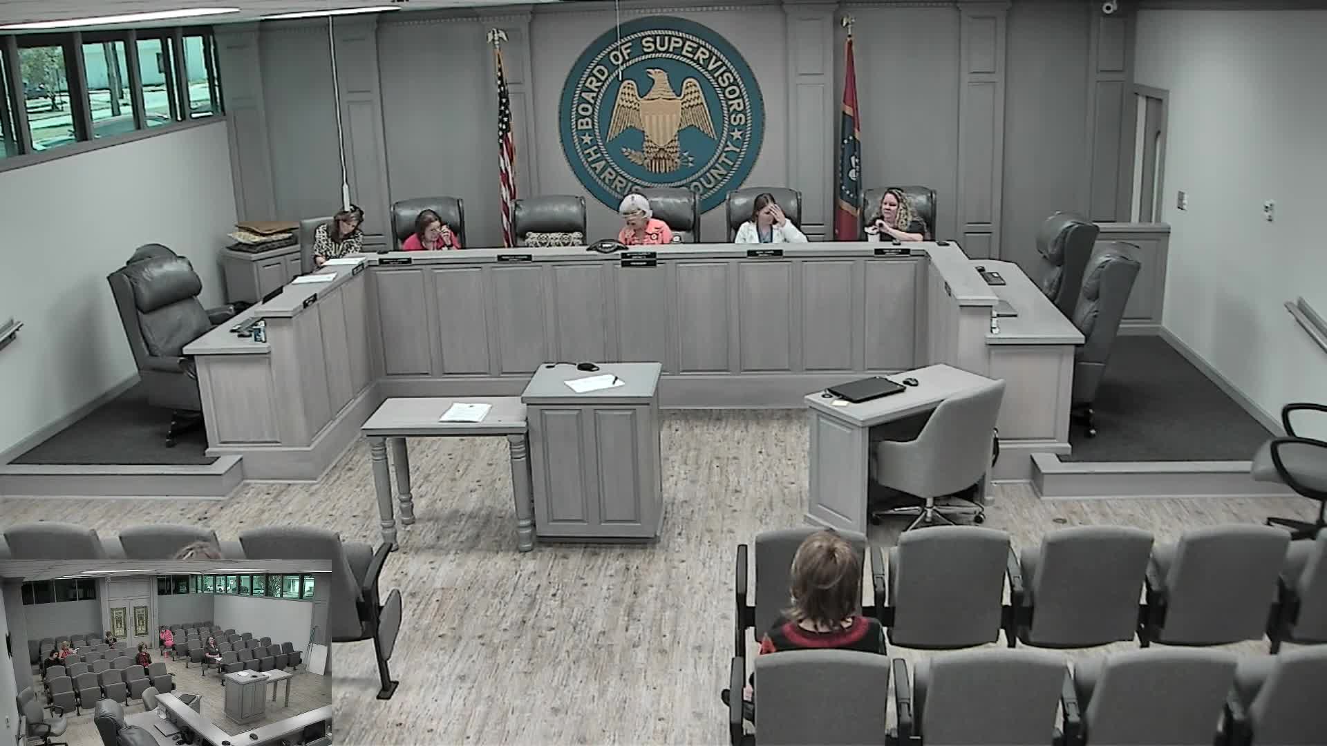 Harrison County Blue Ribbon Committee to draft legislation on child-welfare compliance; raises foster-placement, background-check and elder-care concerns