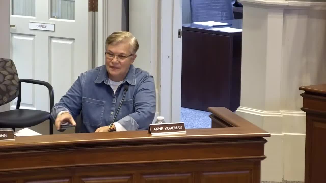 Resident warns committee: ‘Green’ power claims for proposed Terra Wolf data center may be misleading