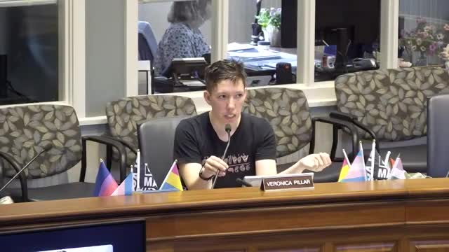 Tompkins County committee reviews updated DEI policy and research on paid parental leave