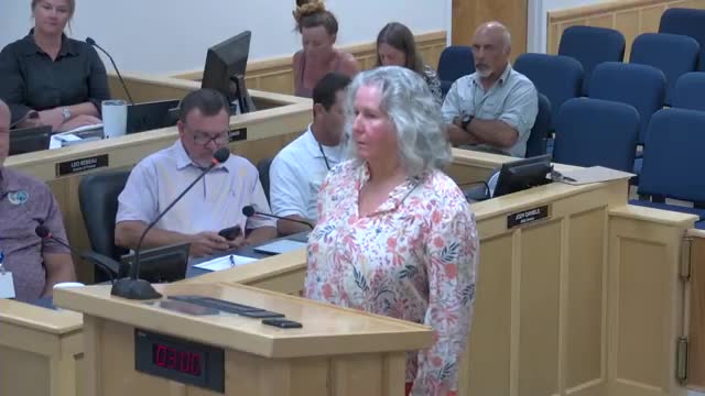 Resident urges county action on shoreline erosion, no‑passing zone and RV permits at county line