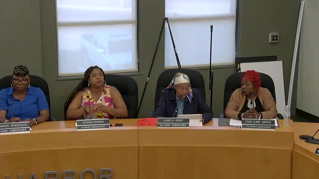 Commissioner Questions Financial Information Processing with City Manager's Guidance