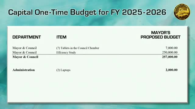 City Council Debates $250,000 Efficiency Study Amid Employee Salary Concerns