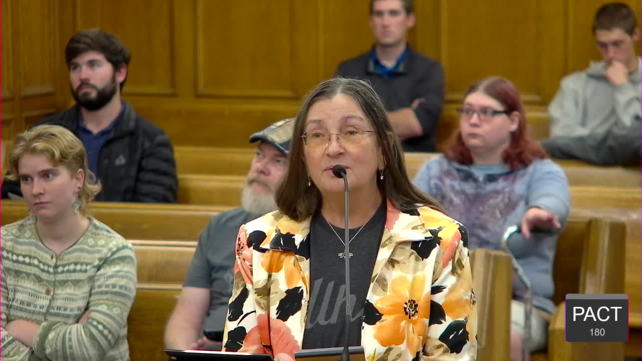 Duluth Residents Urge City Council to Support Higher Tax Levy for Essential Services