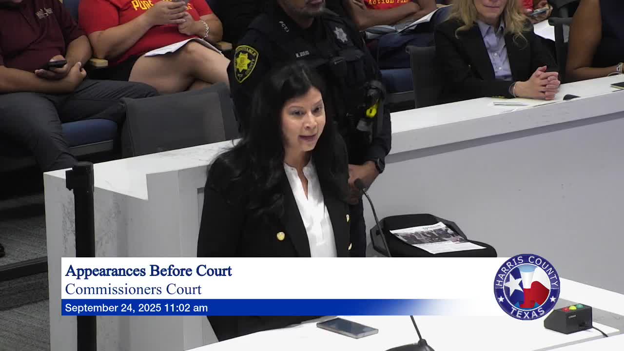 Harris County Officials Discuss Budget Priorities During Public Meeting
