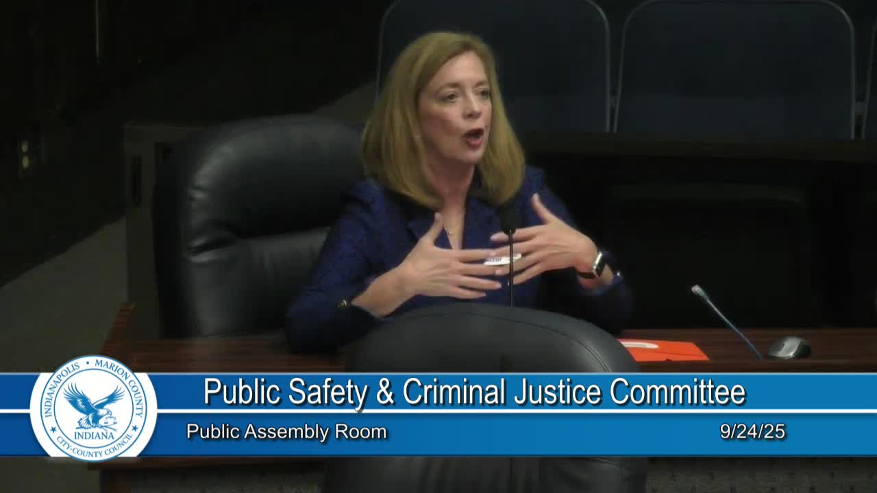 Council Discusses Youth Justice Collaboration and Early Intervention Strategies