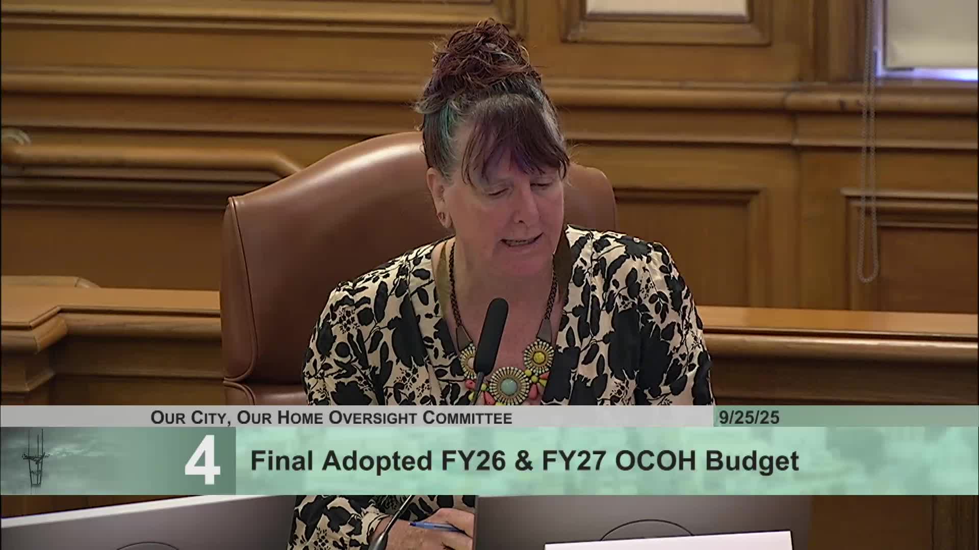 Committee Questions Budget Allocations for Rapid Rehousing and RV Interventions